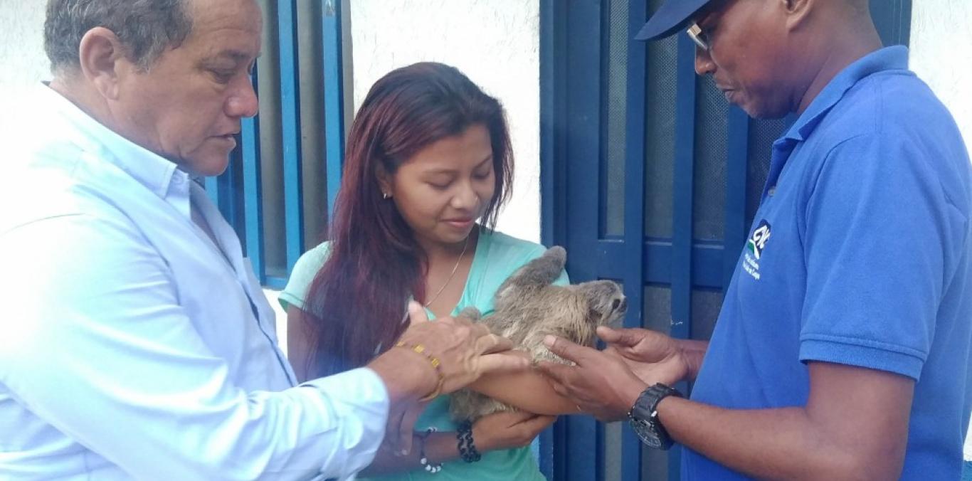 GRACIAS AL AVISO DE LA COMUNIDAD SE SALVÓ UN PEREZOSO QUE ESTABA CAUTIVO