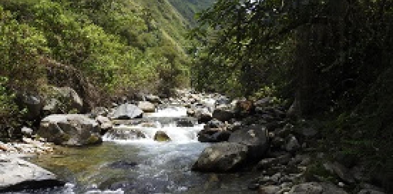 PARQUE ECOLÓGICO PROVIDENCIA SUMA 414 HECTÁREAS A LA CONSERVACIÓN DEL VALLE DEL CAUCA