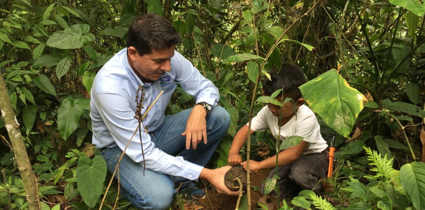 TRES MIL NUEVOS ÁRBOLES LLENAN DE VIDA EL RÍO FRAYLE