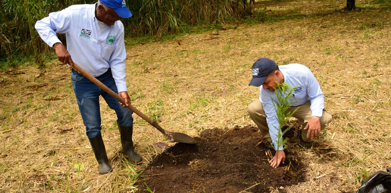 EL ARBORETO DE LA CVC EN SAN EMIGDIO SE LLENÓ DE VIDA