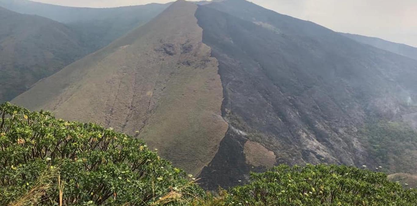 CONTROLADO INCENDIO FORESTAL EN ZONA RURAL DE CALI LUEGO DE 48 HORAS 