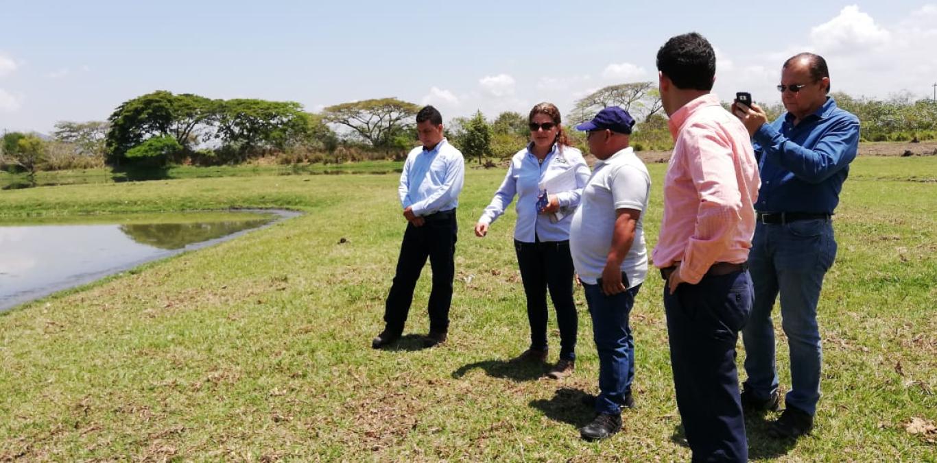 BID Y CVC EXPLORAN OPCIONES PARA EL REUSO DE AGUA EN EL SECTOR AGRÍCOLA