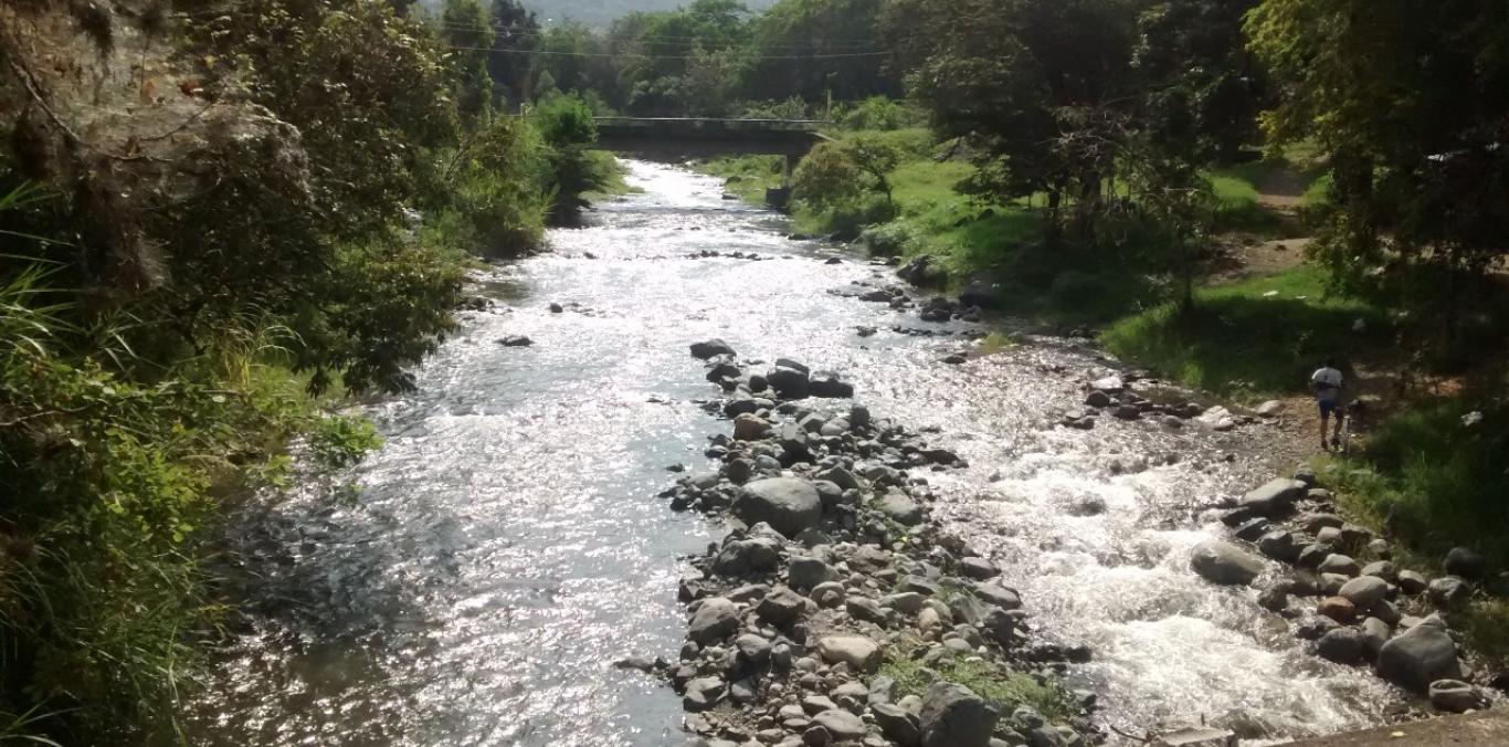 CVC HACE RECOMENDACIONES PARA EL CUMPLIMIENTO DE LAS FRANJAS FORESTALES  