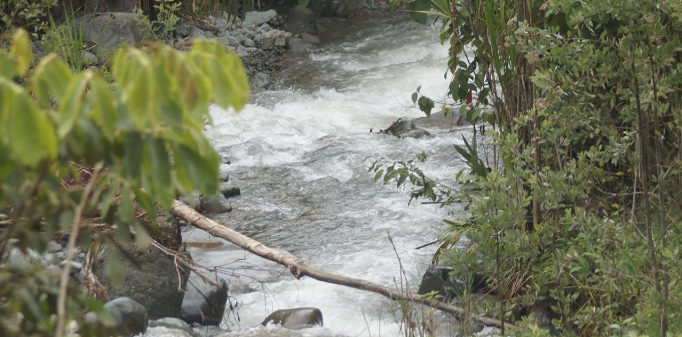 LA UNION, PRIMER MUNICIPIO DEL VALLE QUE VA A CONSERVAR SU BIODIVERSIDAD A TRAVÉS DE BANCO2