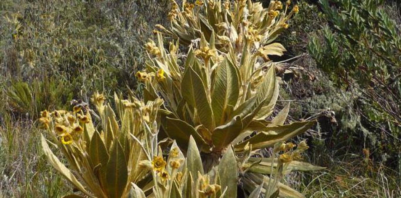 COMUNIDADES DE TRES MUNICIPIOS SE CAPACITAN EN TURISMO DE NATURALEZA