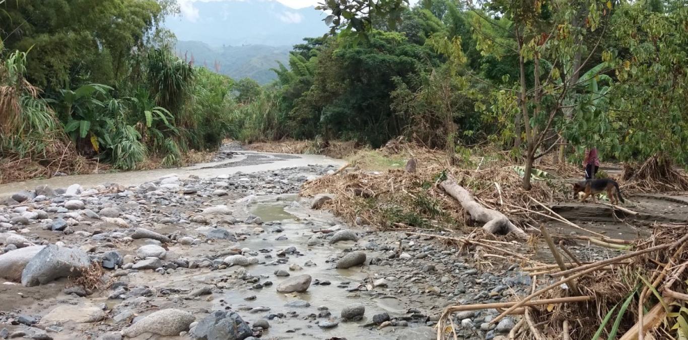 CVC SUPERVISA TRABAJOS DE DESCOLMATACIÓN EN FLORIDA  