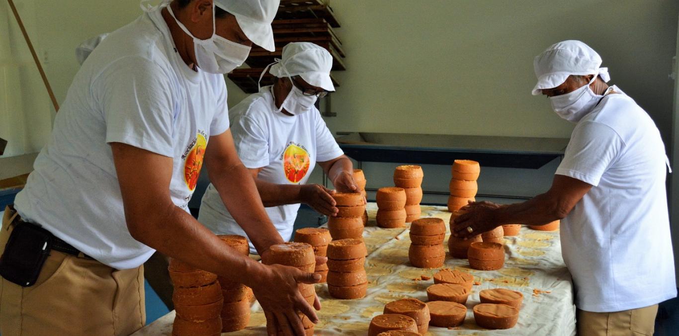 TRAPICHE PANELERO LE CAMBIÓ LA VIDA A 48 FAMILIAS EN DAGUA