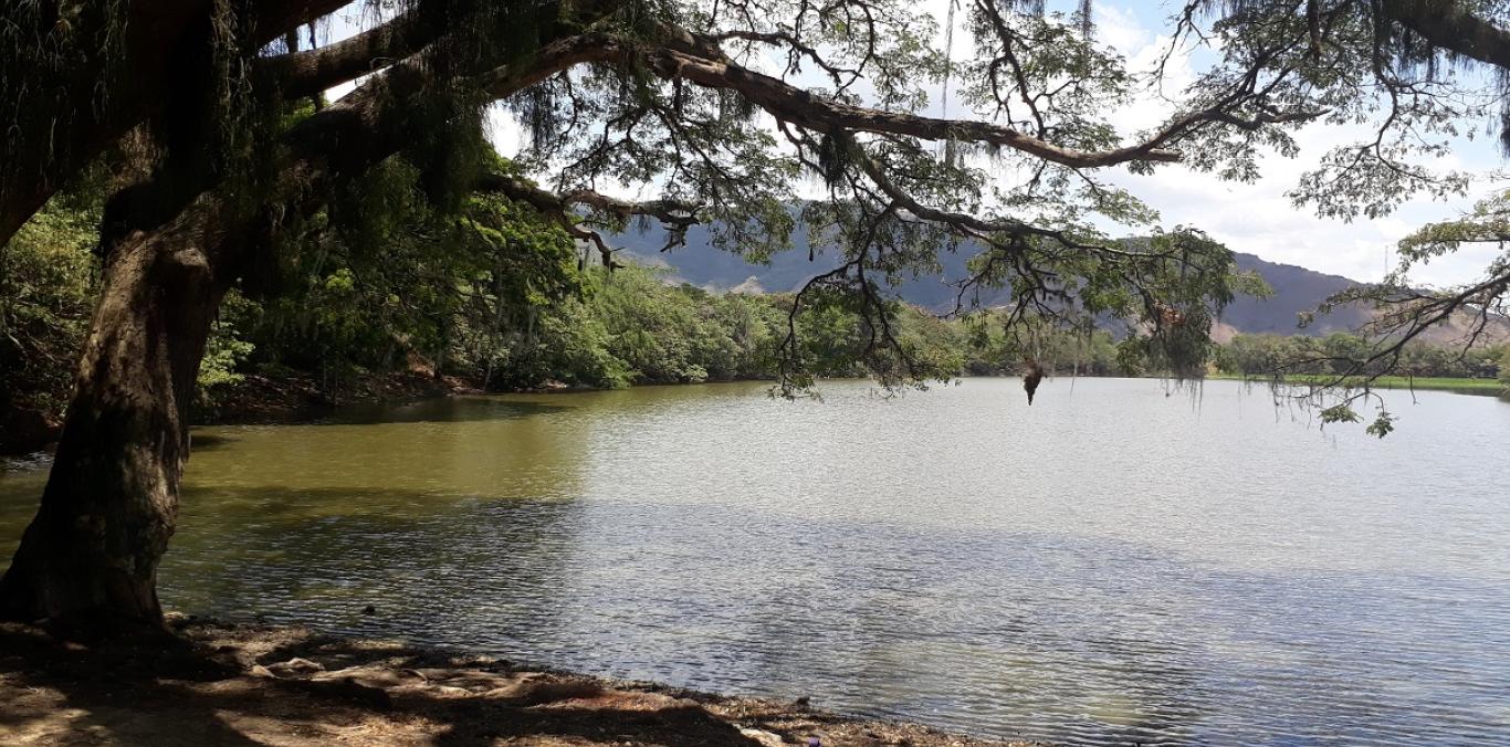 VIDELES, ESPACIO QUE INVITA A DISFRUTAR DE PAISAJES NATURALES Y EL AVISTAMIENTO DE DIVERSIDAD DE AVES