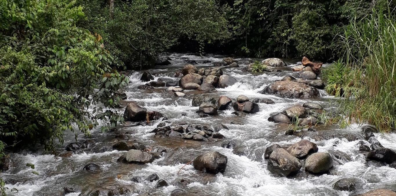 INVITAMOS A PROTEGER NUESTRO RÍO MELÉNDEZ