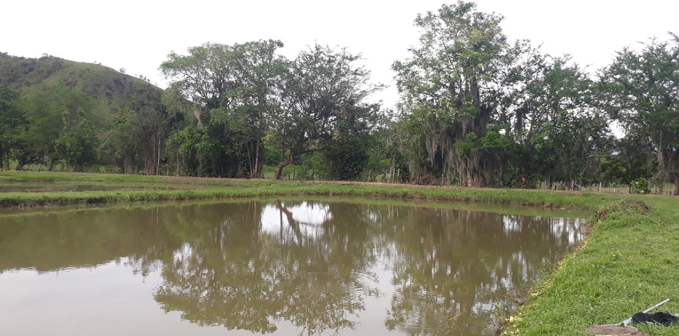 CENTRO DE EDUCACIÓN AMBIENTAL GUADUALEJO, UN ESPACIO DE REPRODUCCIÓN E INVESTIGACIÓN DE PISCICULTURA