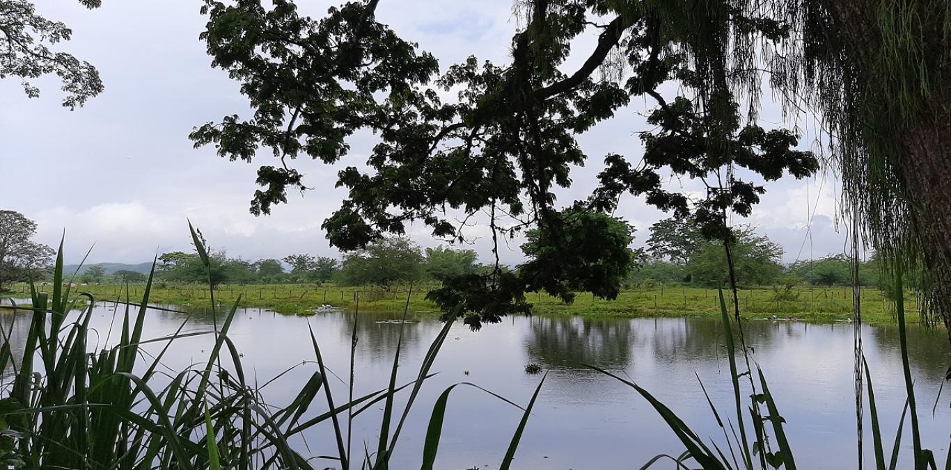 YA SE PUEDEN APRECIAR LOS ESPEJOS DE AGUA DE CUATRO HUMEDALES EN JAMUNDÍ 