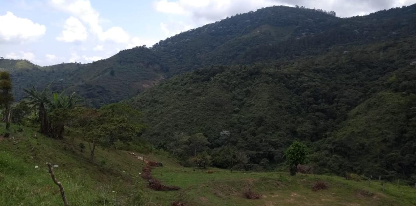 CVC INSPECCIONA PREDIOS POR PRESUNTOS ATAQUES DE FELINOS A ANIMALES DE CORRAL