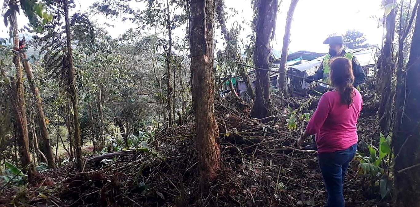 SE EVITÓ UNA AFECTACIÓN AL BOSQUE EN LA ELVIRA