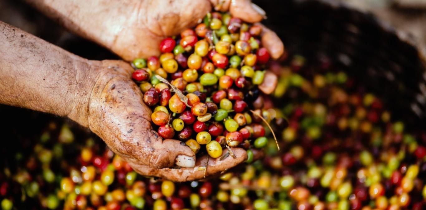 CONOZCA SOBRE LA LÍNEA ESPECIAL DE CRÉDITO PARA EL AGRO Y LOS NEGOCIOS VERDES 