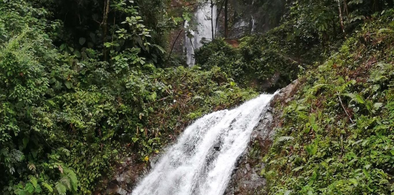 ANCHICAYÁ, UN LUGAR MEGADIVERSO DE DAGUA