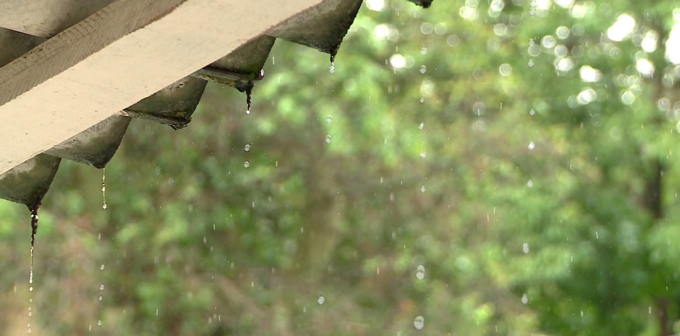 LLUEVE EN EL VALLE, AUNQUE MENOS DE LO ESPERADO