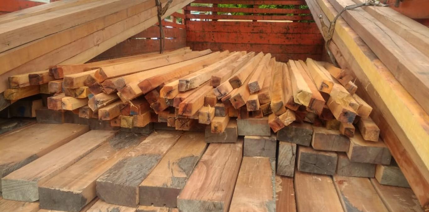 ALIANZA PACÍFICO PARA COMBATIR LA DEFORESTACIÓN Y EL COMERCIO ILEGAL DE MADERA