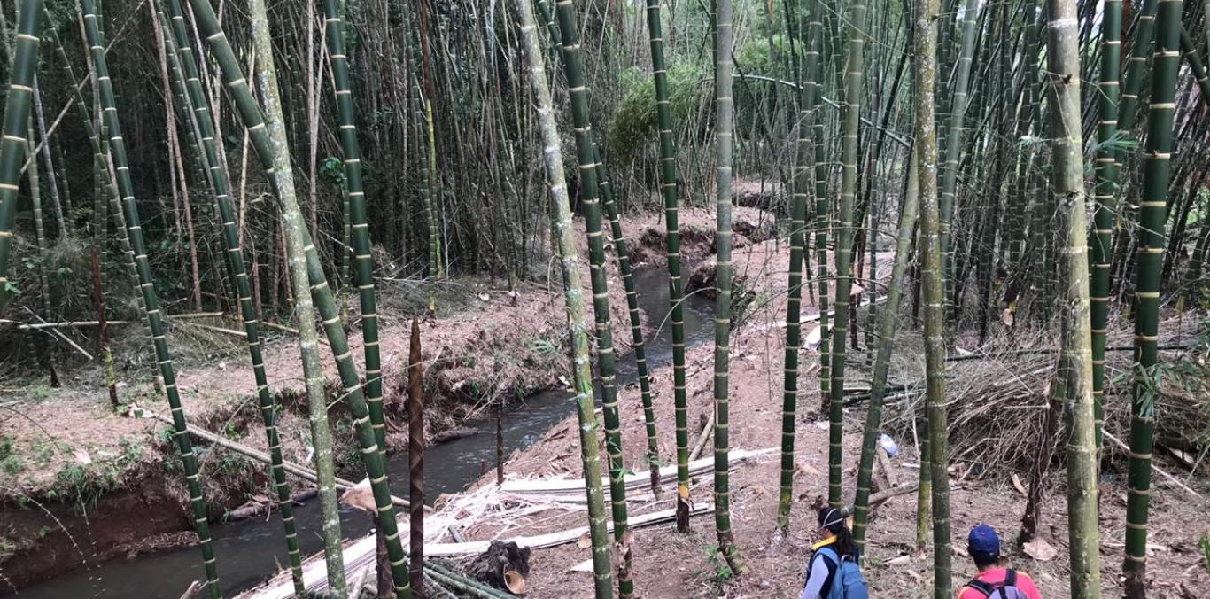 PARA PREVENIR INUNDACIONES, QUEBRADA AGUAMONA EN RESTREPO FUE DESCOLMATADA