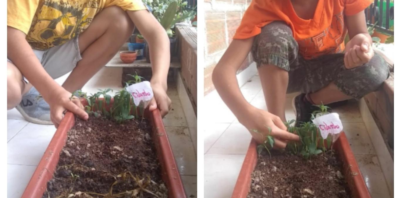 EN "LA SELVA", LOS NIÑOS CULTIVAN EL AMOR POR EL MEDIO AMBIENTE