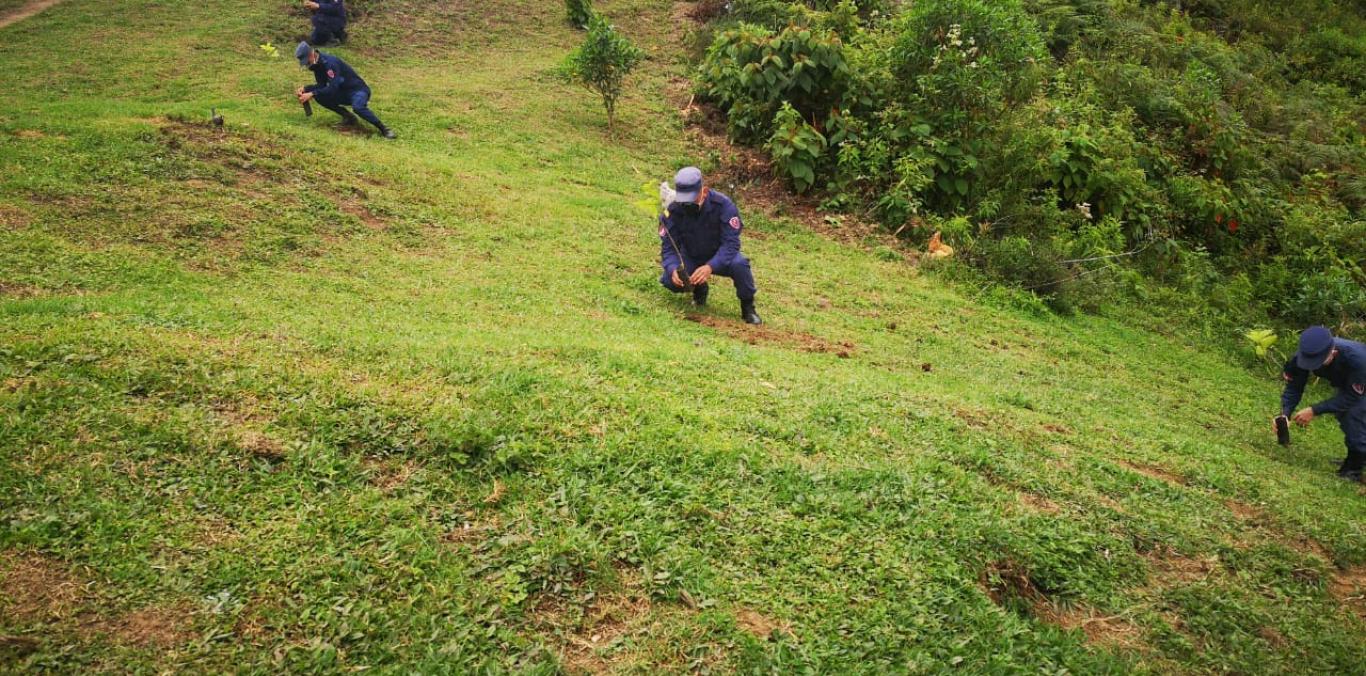 LA CVC CONTINÚA SU PROGRAMA DE SIEMBRA DE ÁRBOLES