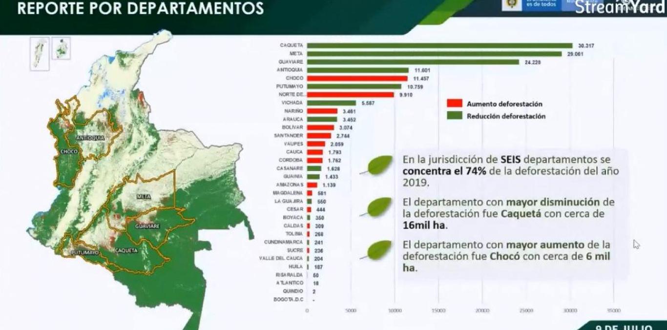 DEFORESTACIÓN SIGUE DISMINUYENDO EN EL VALLE SEGÚN INFORME DEL IDEAM