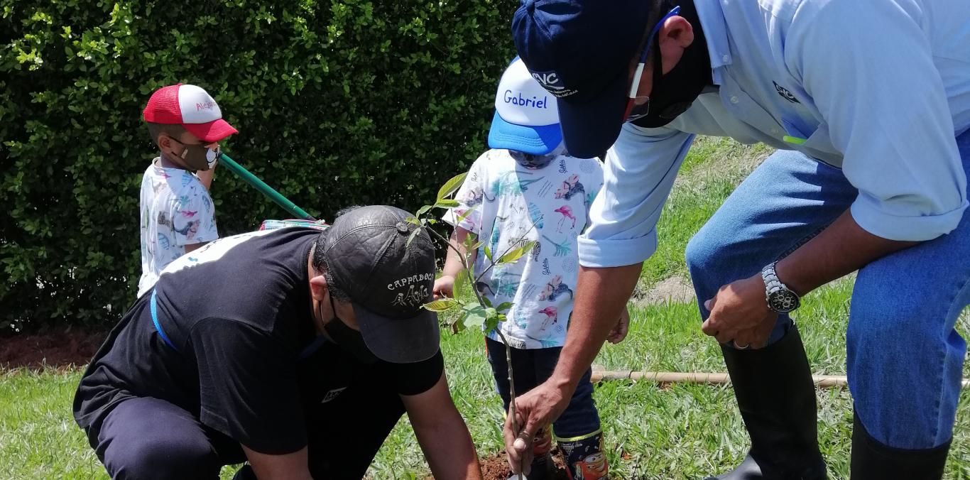 430 ÁRBOLES SE SEMBRARON EN UNA PARCELACIÓN DE JAMUNDÍ