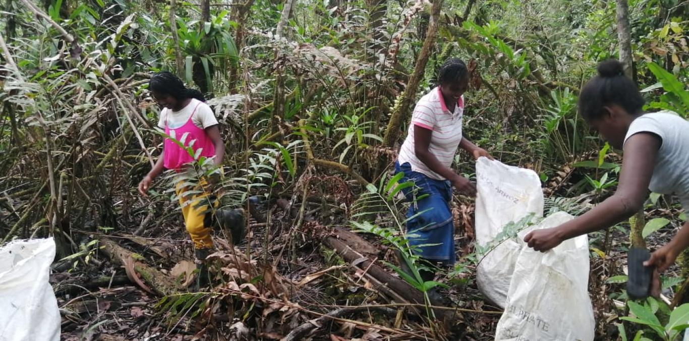 JÓVENES DE PUERTO ESPAÑA-MIRAMAR LIMPIAN SUS MANGLARES