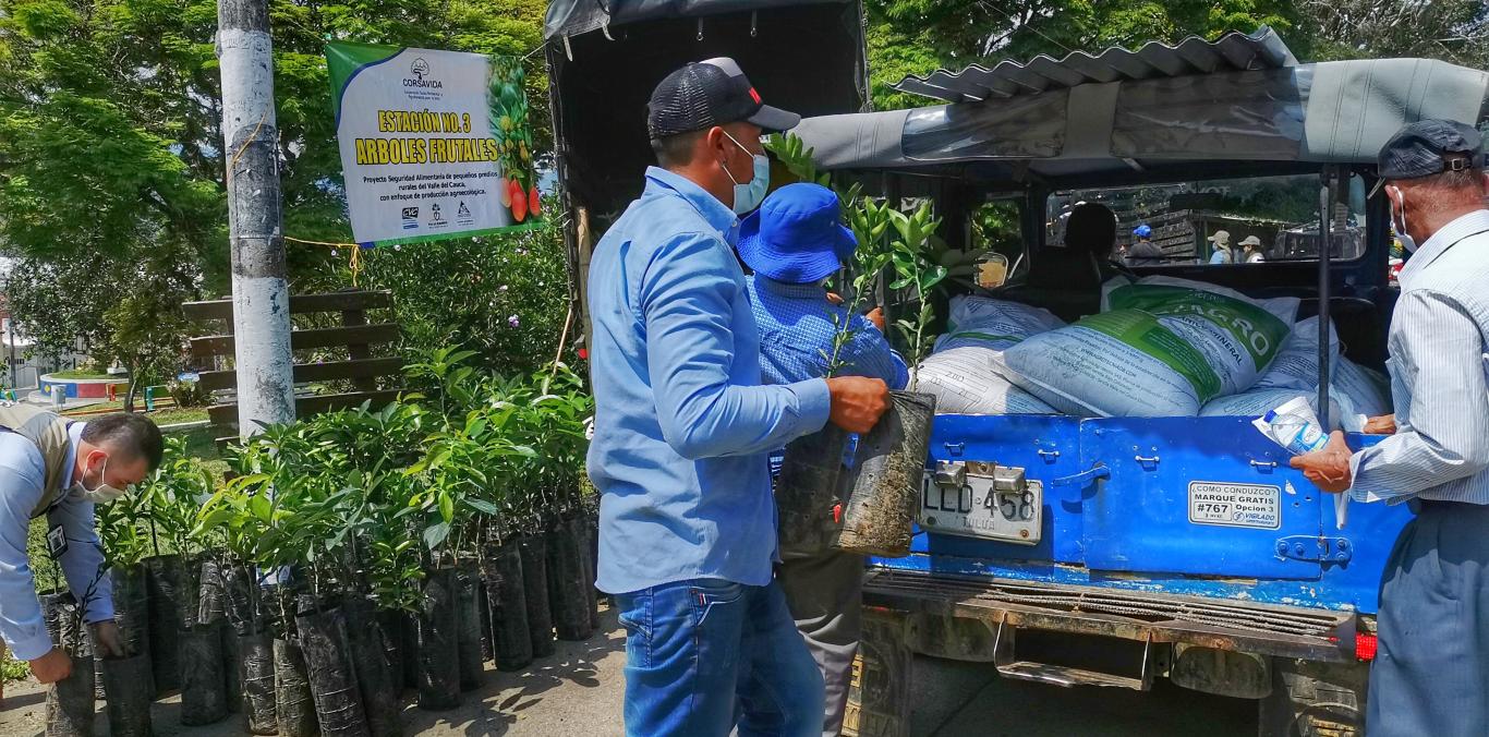 CAMPESINOS DE TULUÁ, BUGALAGRANDE Y ANDALUCÍA TENDRÁN SEGURIDAD ALIMENTARIA