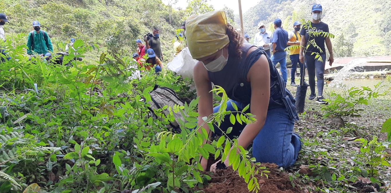 CVC CONVOCA A DECIDIR SOBRE CUENCAS DE RÍOS CALI y LILI-MELÉNDEZ-CAÑAVERALEJO