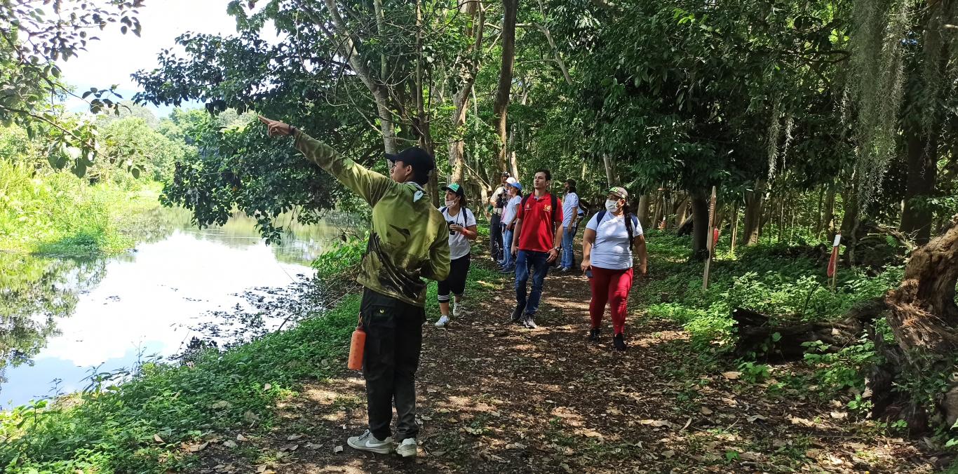 CANTOS, SILBIDOS Y TRINOS EN DÍA NACIONAL DE LAS AVES EN LA LAGUNA DE SONSO