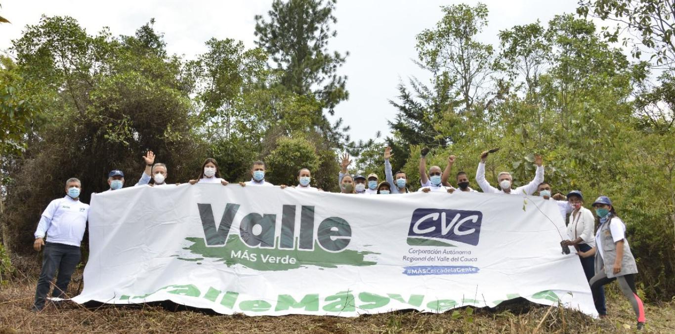 800.000 INDIVIDUOS SE SEMBRARON POR DÍA MUNDIAL DEL ÁRBOL EN EL VALLE DEL CAUCA