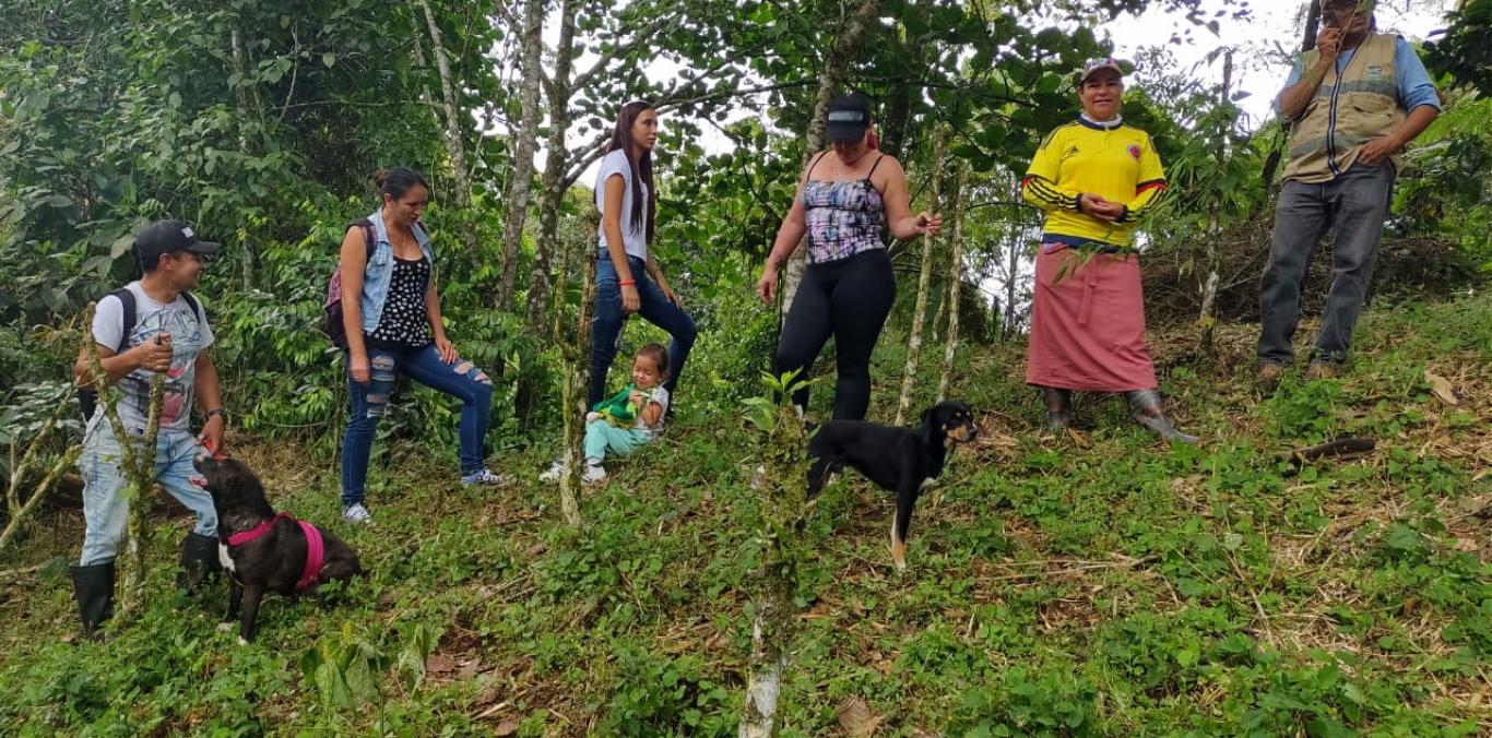 MUJERES DE SEVILLA SEMBRARON 80 ÁRBOLES NATIVOS EN ECOLANDIA 