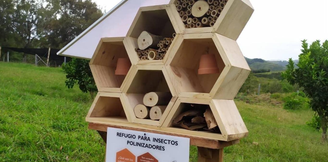 CONSTRUYEN 'HOTELES' PARA ABEJAS EN EL VALLE DEL CAUCA