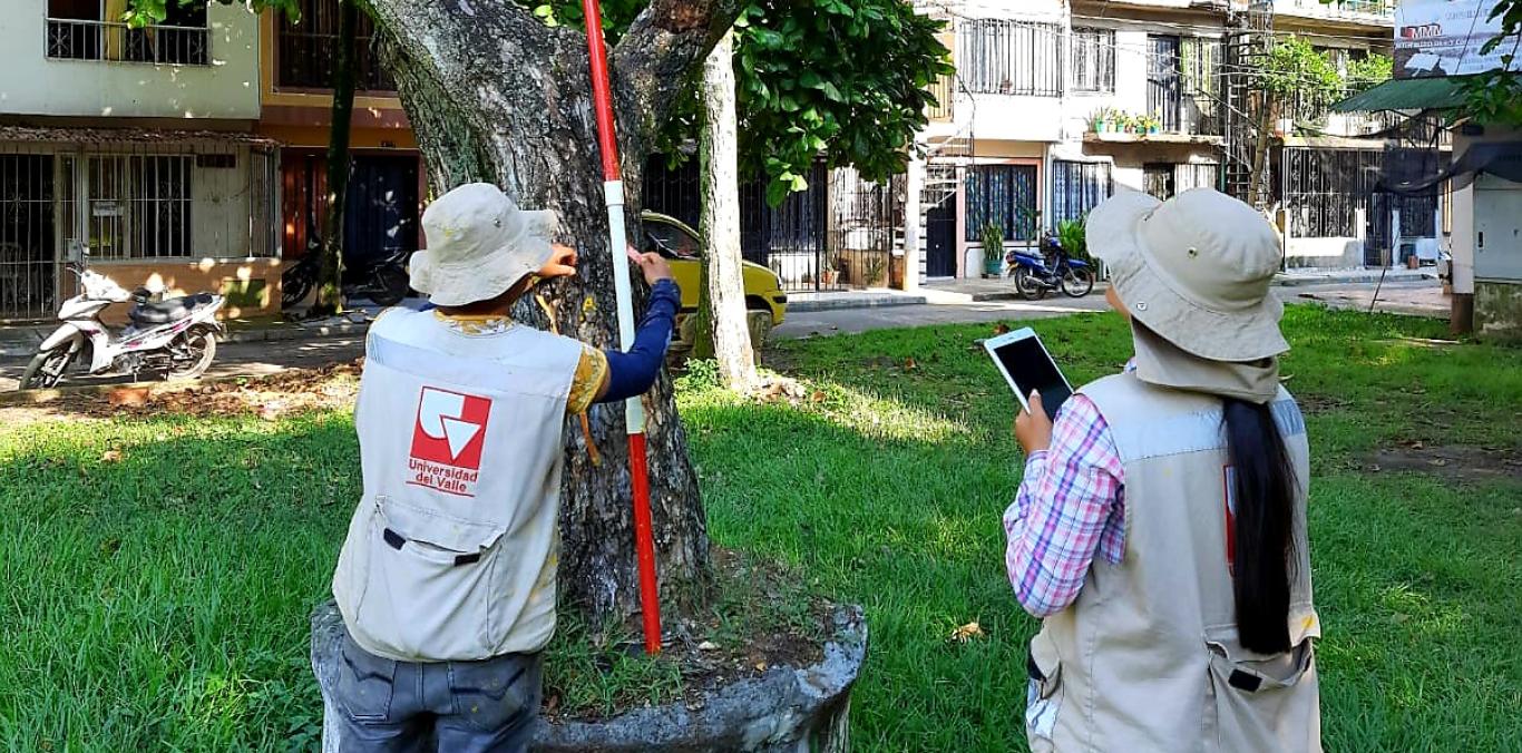 JAMUNDÍ TENDRÁ CENSO ARBÓREO 