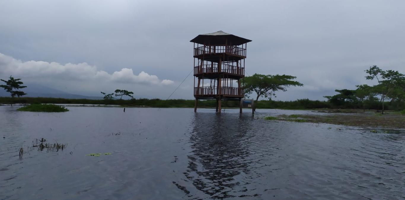 VIVA UNA EXPERIENCIA DIFERENTE EN LA LAGUNA DE SONSO