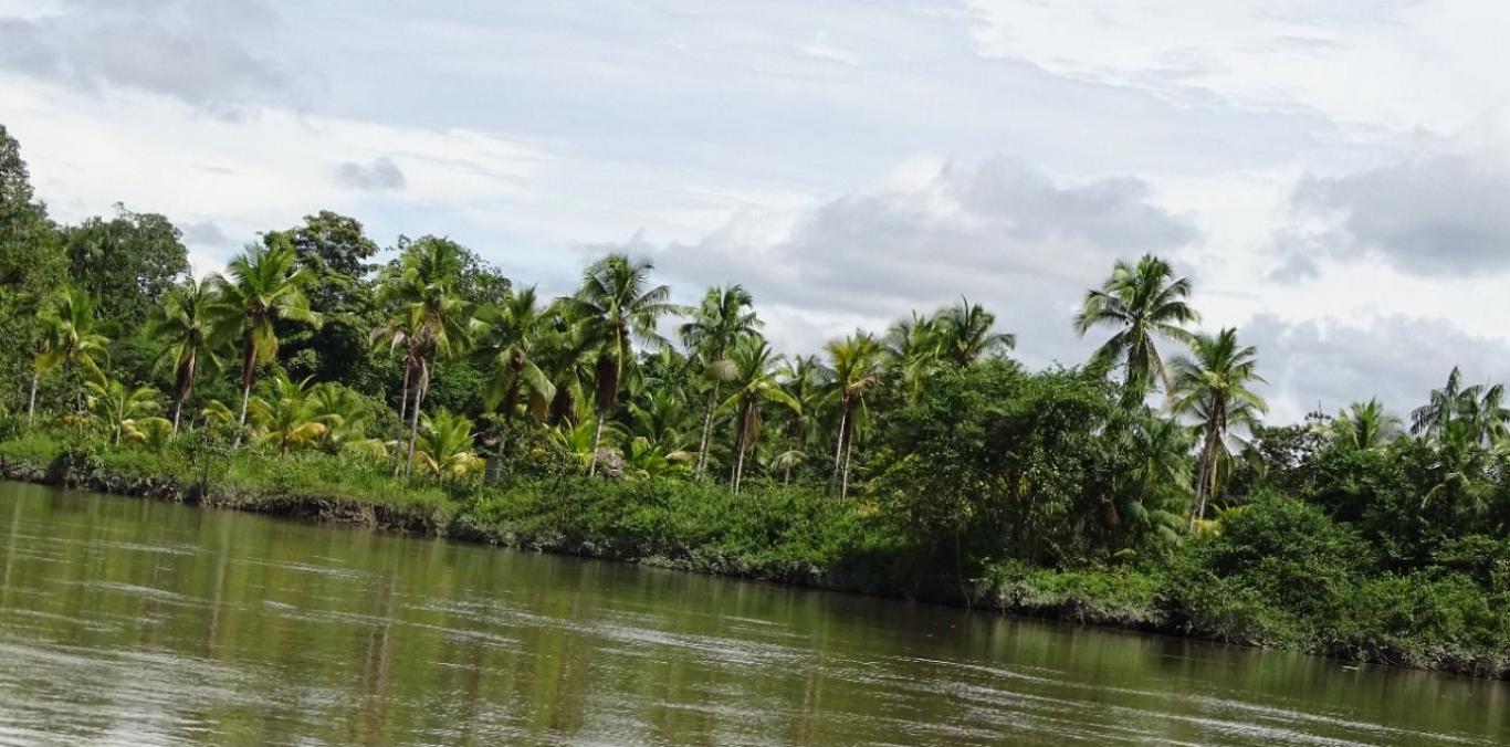 ISLA AJÍ, EN BUENAVENTURA, AHORA ES UN ÁREA PROTEGIDA