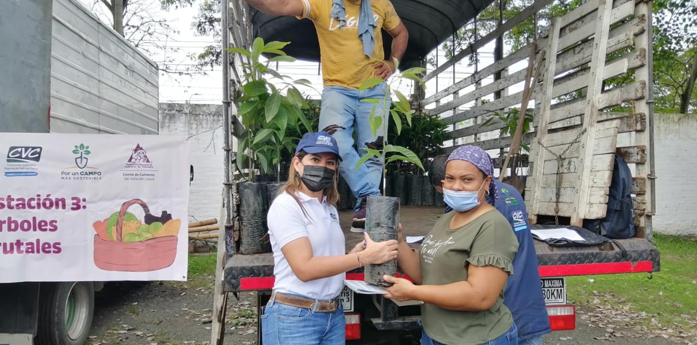 100 FAMILIAS DE ZONA RURAL DE PALMIRA RECIBIERON INSUMOS PARA EL CAMPO 