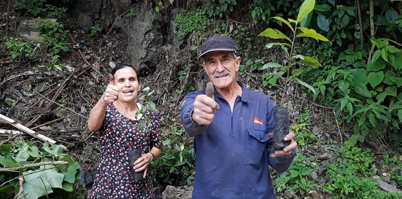 ESTUFAS QUE CAMBIAN VIDAS Y MEJORAN EL AMBIENTE VALLECAUCANO