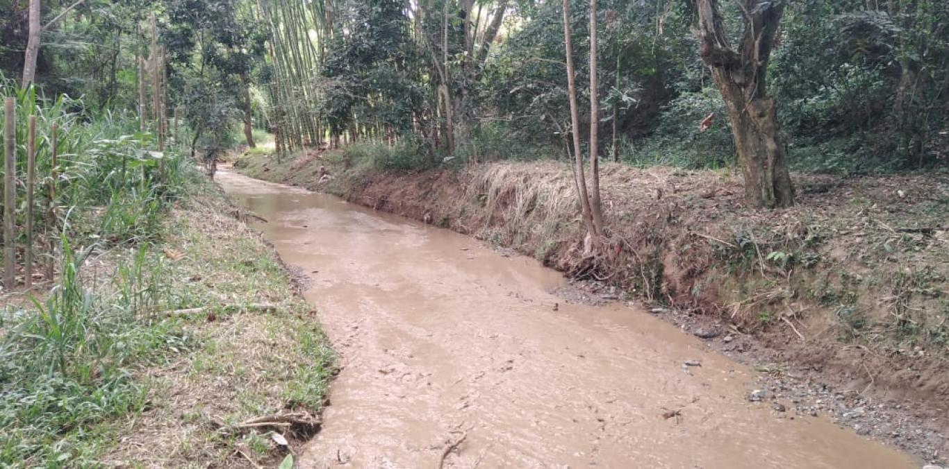 QUEBRADA EL LÁZARO, EN TORO, ESTÁ SIENDO DESCOLMATADA