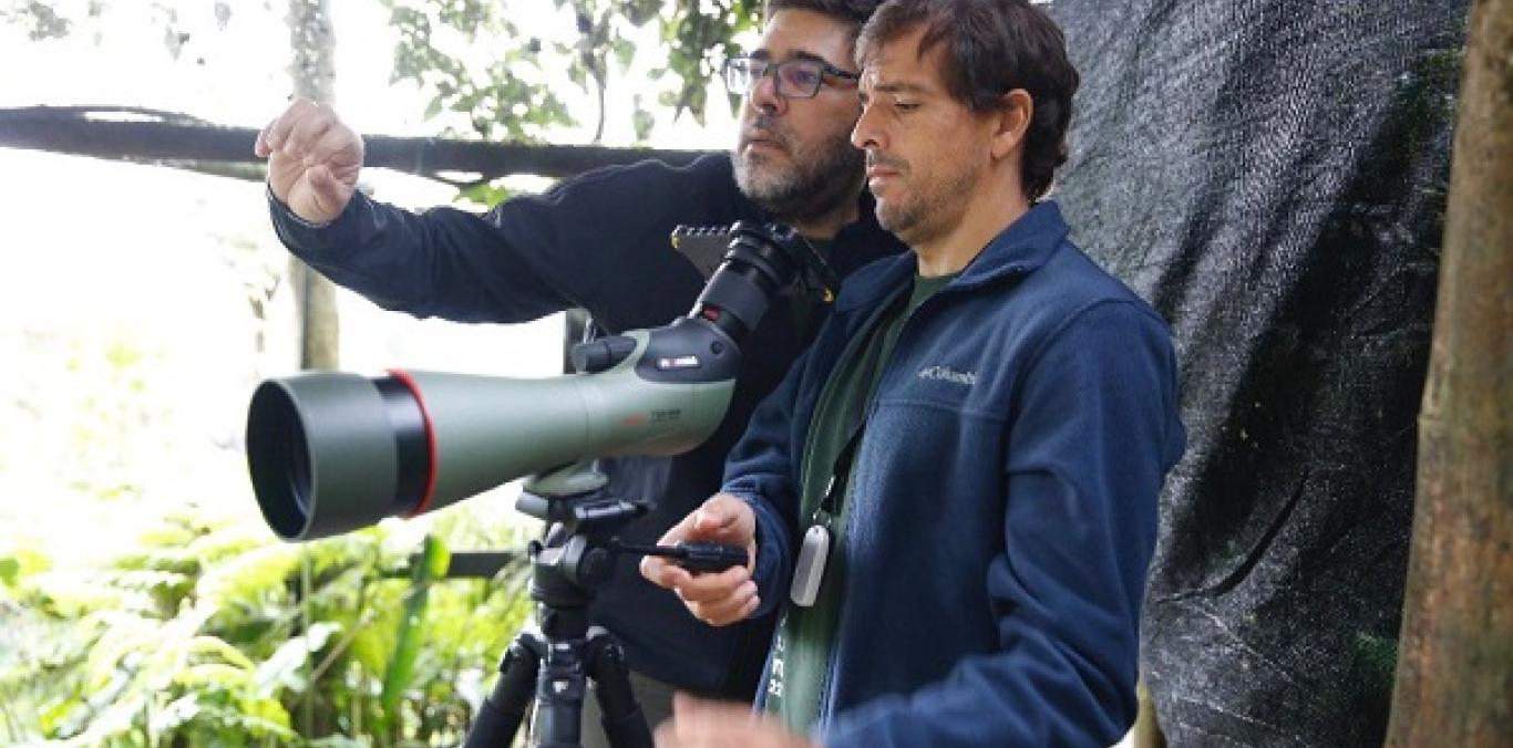 Cumpliendo con su slogan "Unidos por las aves", Colombia Birdfair 2022 reunió, durante su 8ª versión, que culminó ayer, a 600 personas en las actividades realizadas en Cali y el Valle del Cauca y registra más de 85 mil visualizaciones de su programación virtual.