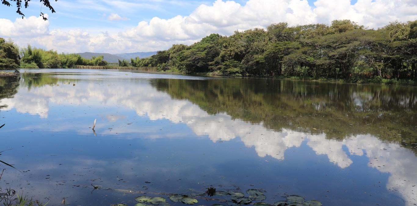 Los humedales están asociados al río Cauca y comprenden un área de 3.422 hectáreas.