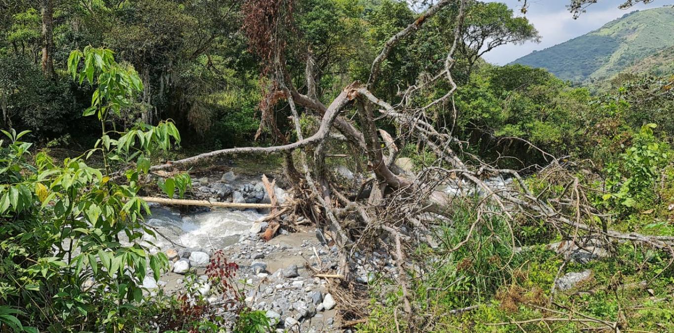 Crecientes súbitas con empalizadas y derrumbes con taponamiento de vías, son algunas de las afectaciones presentadas por las fuertes lluvias en el corregimiento La feria, en Pradera.