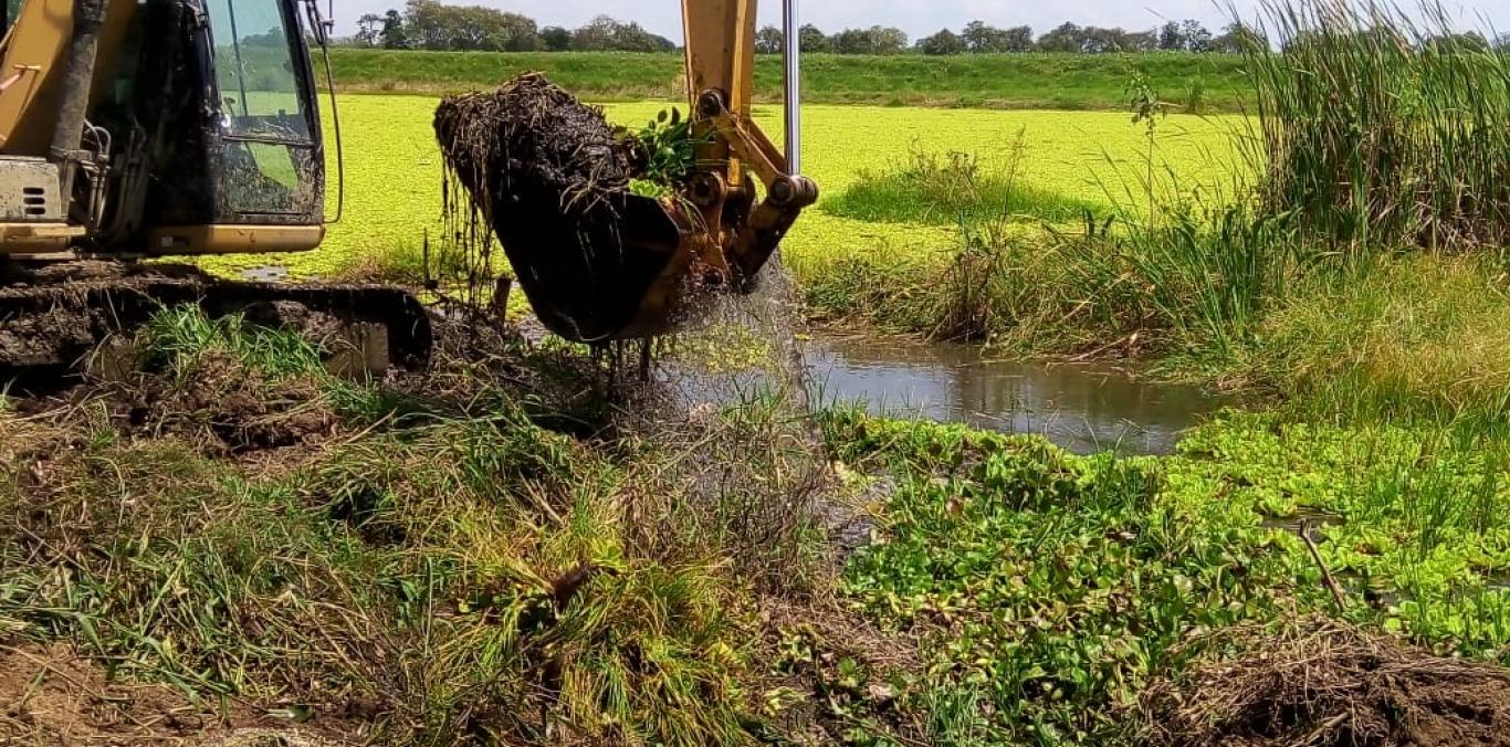 CONTINUA LA LIMPIEZA DE HUMEDALES EN EL VALLE