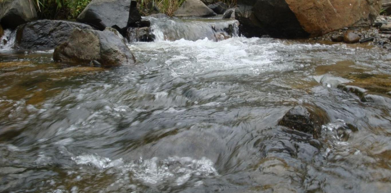 ACCIONES PARA PRESERVAR EL AGUA CONTINUARÁN EN ULLOA Y ALCALÁ CON APOYO DE AUTORIDADES DE VALLE Y QUINDÍO 