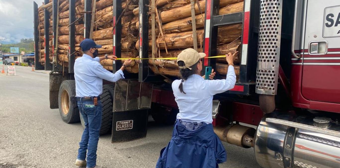 EL DECOMISO DE MADERA ILEGAL HA DISMINUIDO EN UNA PARTE DEL PACÍFICO VALLECAUCANO