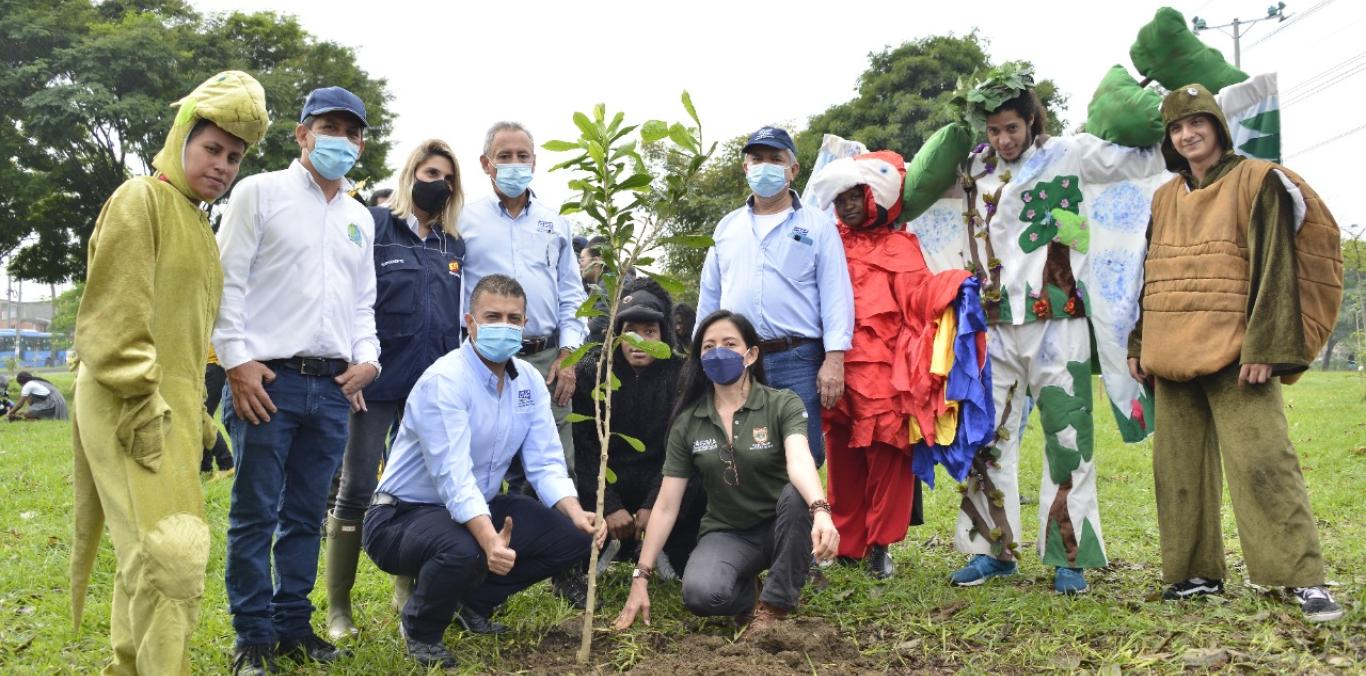 CALI ESTRENA HOY BOSQUE URBANO AL ORIENTE Y CORREDOR AMBIENTAL AL SUR