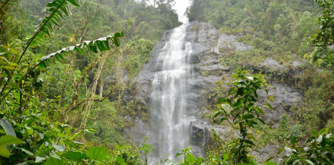 "EN EL VALLE CONSUMIMOS 474 MIL MILLONES DE LITROS DE AGUA AL MES, POR ESO HAY QUE CUIDARLA": DIRECTOR DE LA CVC