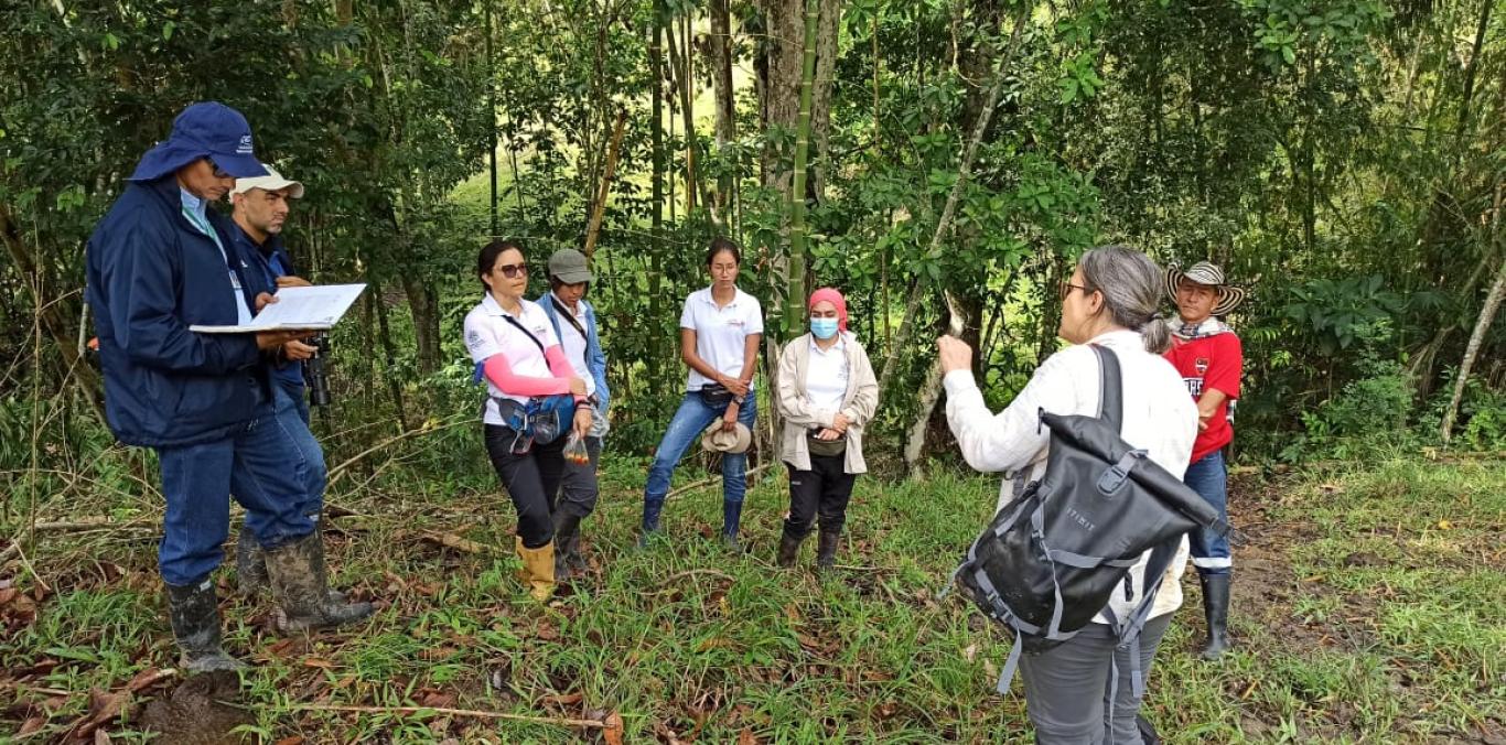 MONITOREAN IMPORTANTE ORQUÍDEA EN EL VALLE Y ESTABLECEN ESTRATEGIAS PARA SU CONSERVACIÓN 