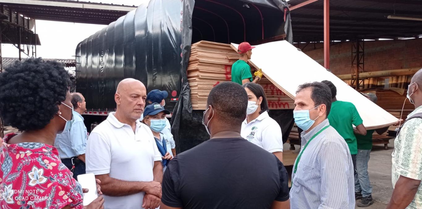 UNIÓN EUROPEA CALIFICÓ BIEN LA GESTIÓN DE MADERA SOSTENIBLE Y LOS NEGOCIOS VERDES EN EL VALLE