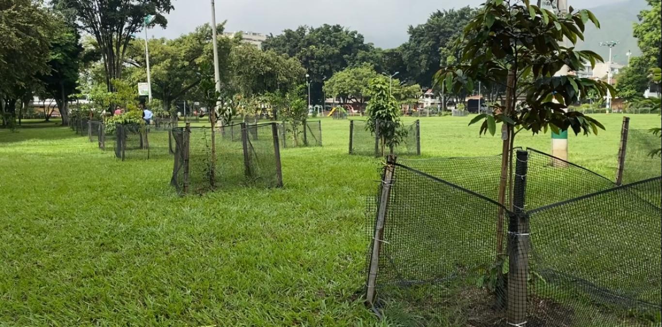 EL PARQUE DE LA FLORA ES AHORA UN BOSQUE URBANO